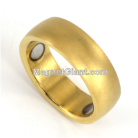Magnetic Stainless Steel Ring