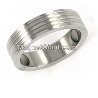 Magnetic Stainless Steel Ring