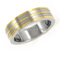 Magnetic Stainless Steel Ring